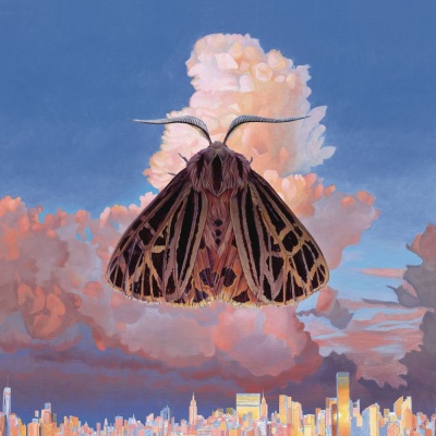 Chairlift - Moth vinyl cover