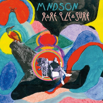 mndsgn - Rare Pleasure vinyl cover