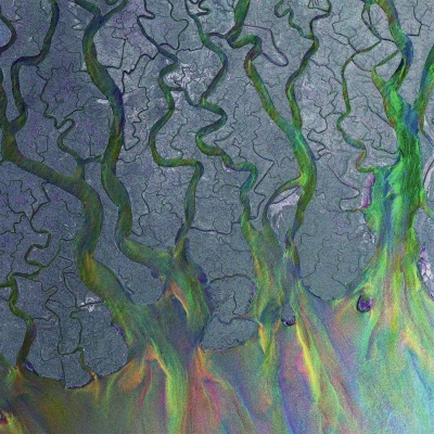 alt-J - An Awesome Wave vinyl cover