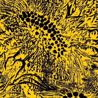 Amanda Whiting - Little Sunflower vinyl cover