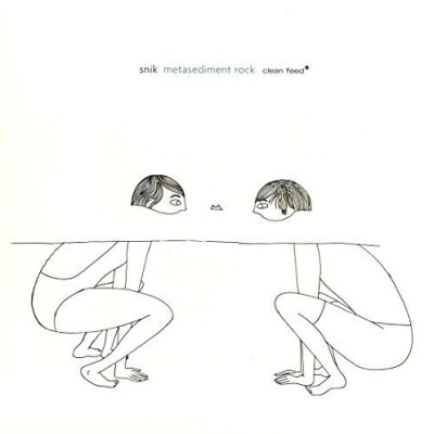 Snik - Metasediment Rock vinyl cover