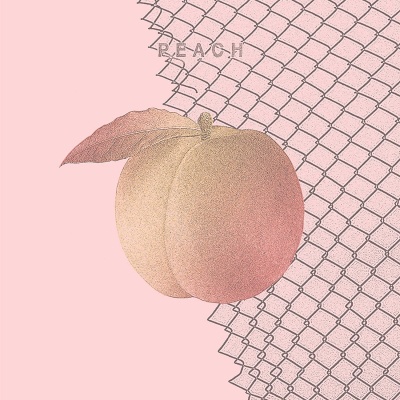 Culture Abuse - Peach vinyl cover