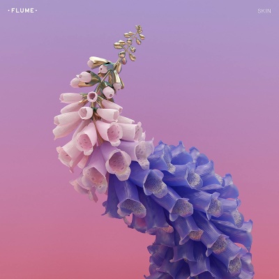 Flume - Skin vinyl cover