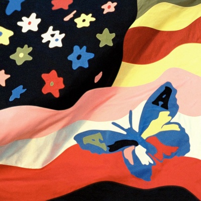 The Avalanches - Wildflower vinyl cover