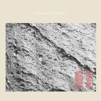 Numb.er - Goodbye vinyl cover