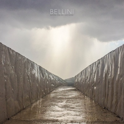Bellini - Before The Day Has Gone vinyl cover