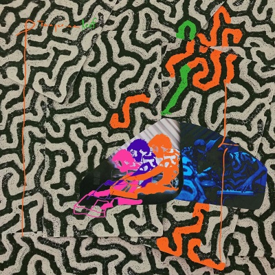 Animal Collective - Tangerine Reef vinyl cover
