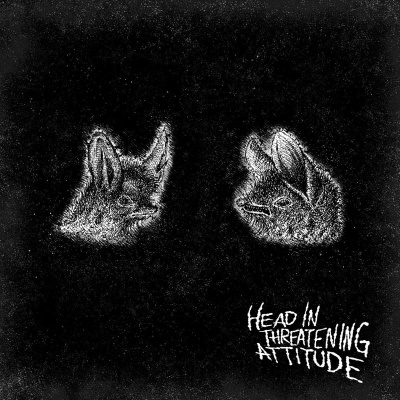 Natterers - Head In Threatening Attitude vinyl cover