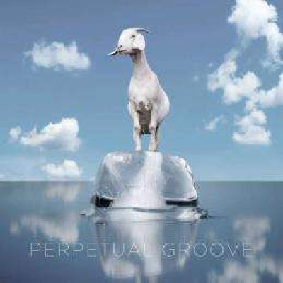 Perpetual Groove - Perpetual Groove vinyl cover