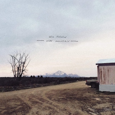 Will Johnson - Wire Mountain vinyl cover