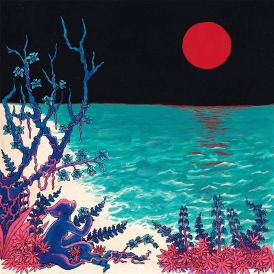 Glass Beach - The First Glass Beach Album vinyl cover