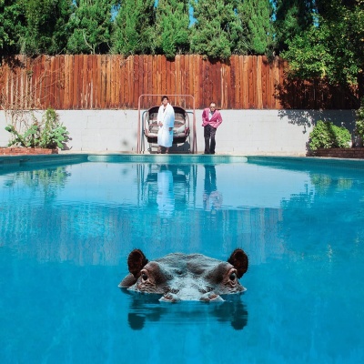 Sparks - Hippopotamus vinyl cover