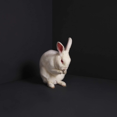 Brume - Rabbits vinyl cover