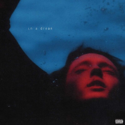 Troye Sivan - In A Dream vinyl cover