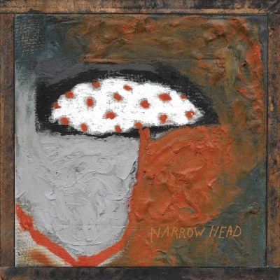 Narrow Head - 12th House Rock vinyl cover