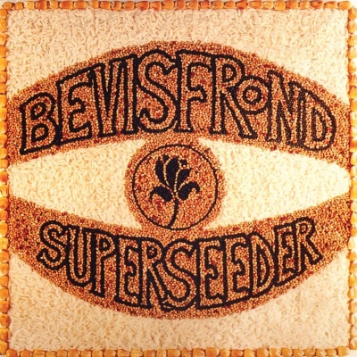 The Bevis Frond - Superseeder vinyl cover
