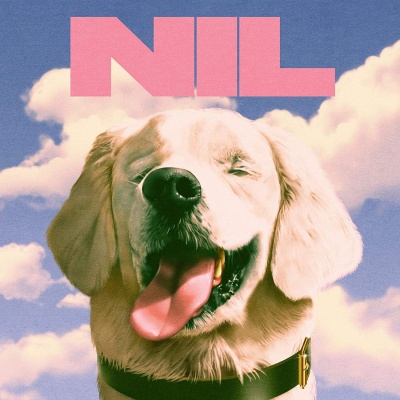 The Dirty Nil - Fuck Art vinyl cover