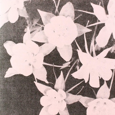 Jabu - Sweet Company vinyl cover