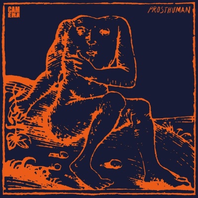 Camera - Prosthuman vinyl cover