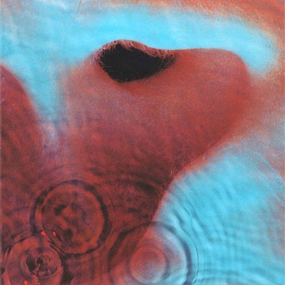 Pink Floyd - Meddle vinyl cover