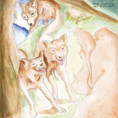 Bonnie "Prince" Billy - Wolf Of The Cosmos vinyl cover