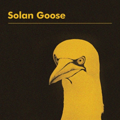 Erland Cooper - Solan Goose vinyl cover