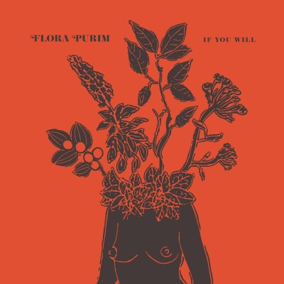 Flora Purim - If You Will vinyl cover
