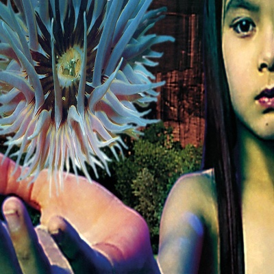 The Future Sound Of London - Lifeforms vinyl cover