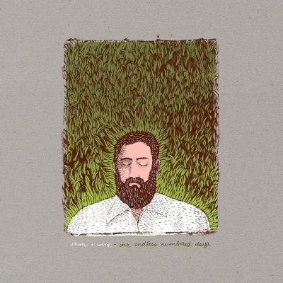 Iron And Wine - Our Endless Numbered Days vinyl cover