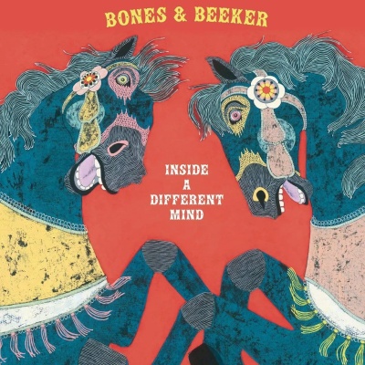 Bones & Beeker - Inside a Different Mind vinyl cover