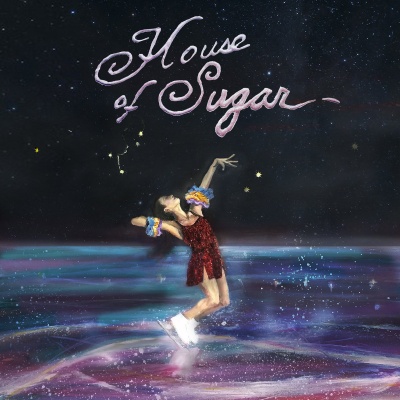 Alex G - House Of Sugar vinyl cover