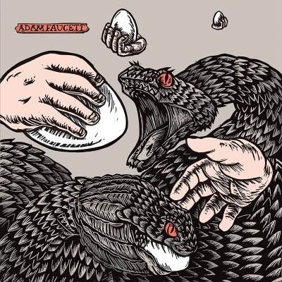 Adam Faucett - It Took The Shape Of A Bird vinyl cover