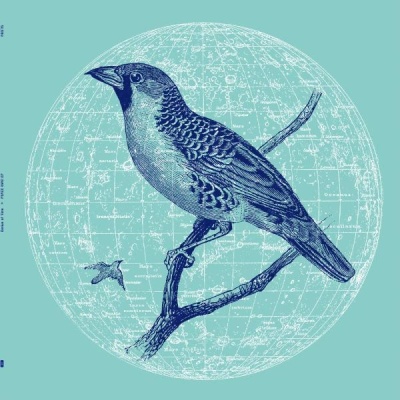 Genius Of Time - Peace Bird EP vinyl cover