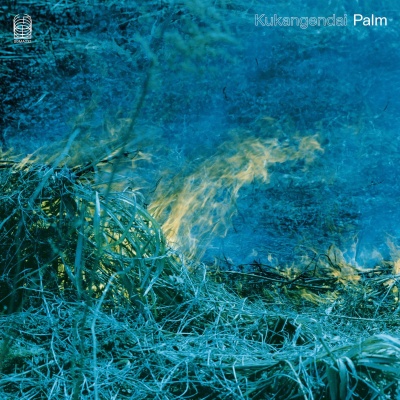 Kukangendai - Palm vinyl cover