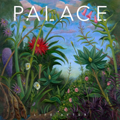 Palace - Life After vinyl cover