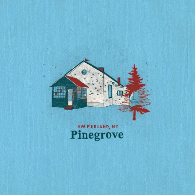 Pinegrove - Amperland, NY vinyl cover