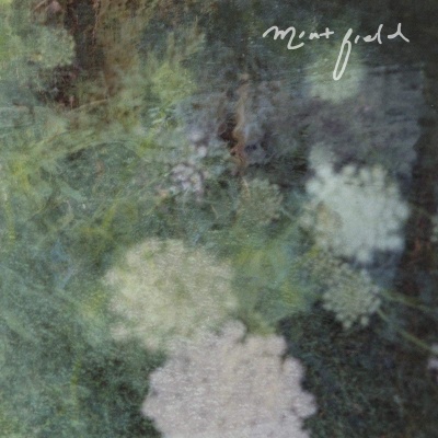 Mint Field - Sentimiento Mundial vinyl cover