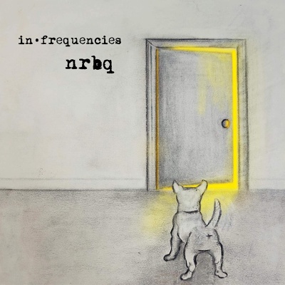 NRBQ - In • Frequencies vinyl cover