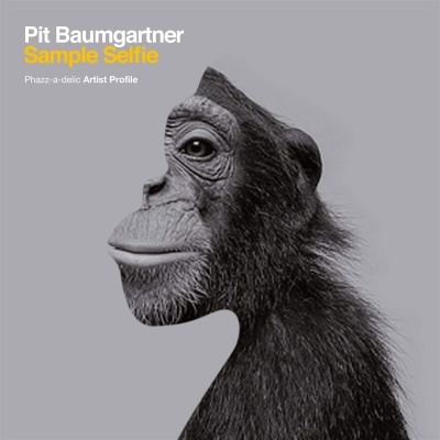 Pit Baumgartner - Sample Selfie vinyl cover