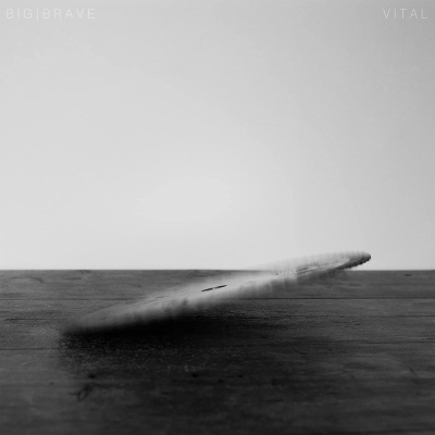 Big Brave - Vital vinyl cover