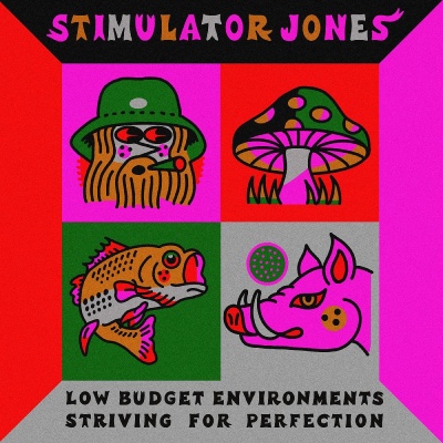 Stimulator Jones - Low Budget Environments Striving For Perfection vinyl cover