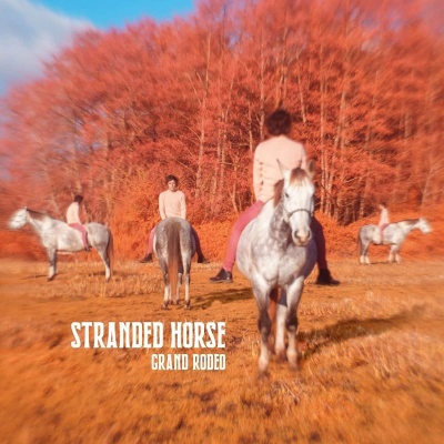 Stranded Horse - Grand Rodeo vinyl cover