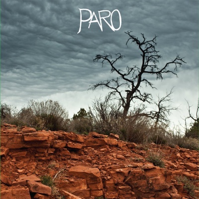 Randy Bickford - Paro vinyl cover
