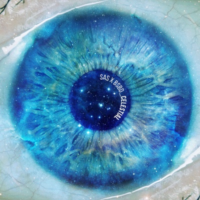 Blue Sky Black Death & S.A.S. - Celestial  vinyl cover