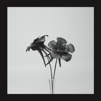 Jlin - Dark Lotus vinyl cover