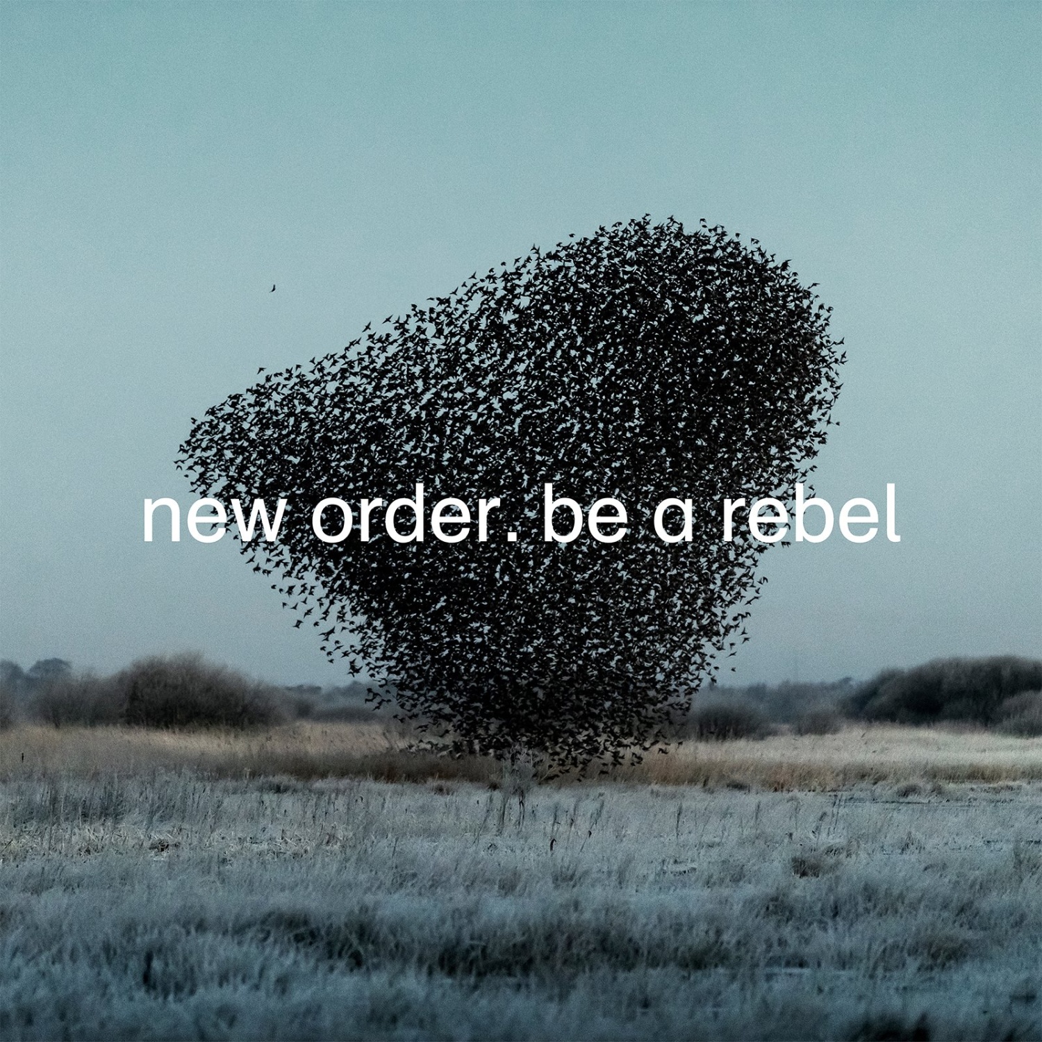 New Order - Be A Rebel vinyl cover