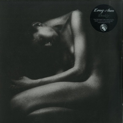 Long Arm - Darkly vinyl cover