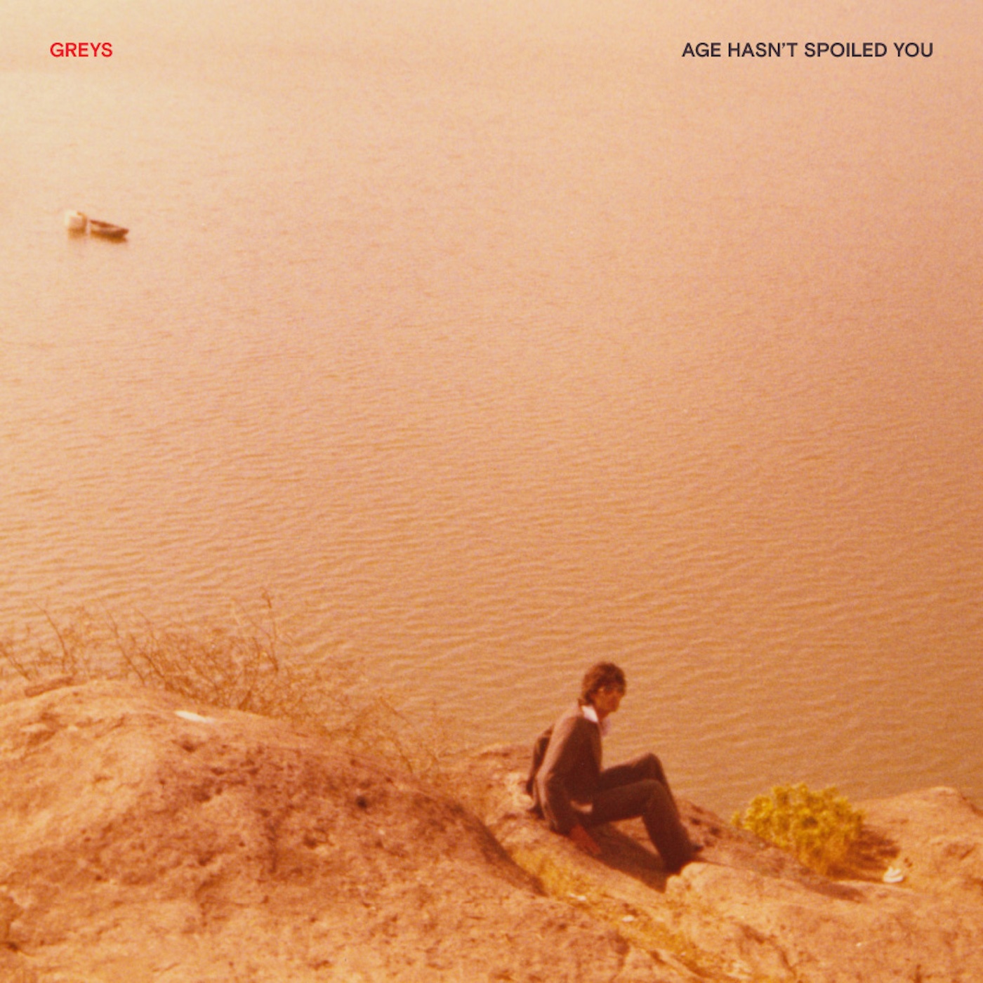 Greys - Age Hasn't Spoiled You vinyl cover