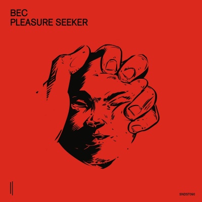 Bec - Pleasure Seeker  vinyl cover