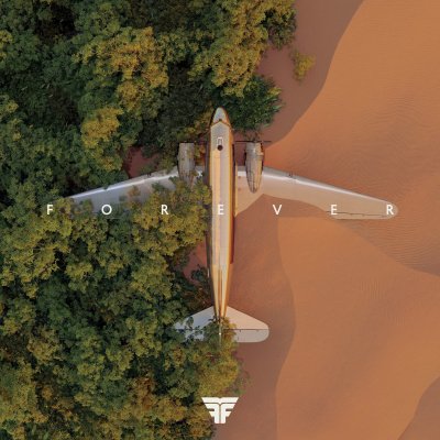 Flight Facilities - Forever vinyl cover